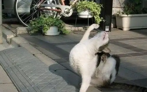 早知道伤心总是难免的,你又何苦一往情深