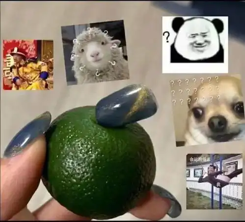我们的童年给了三个姓周的