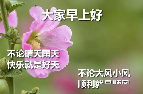 早上好图片祝福语,朋友圈群发祝福表情包,早安
