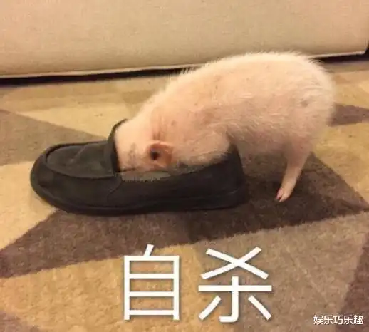 妹子你这裙子有一些太任性了,后面的拉链难免会让人感到羞愧