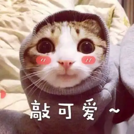 我若萌萌哒,能否被你注意到丨丨安全娃娃形象设计征集评选大赛