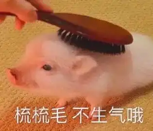 表情包我可以报名成为你的下一任吗