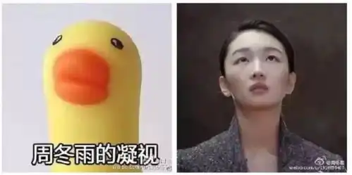 kevin做鸭子那么多年,我都快变成鸭子啦