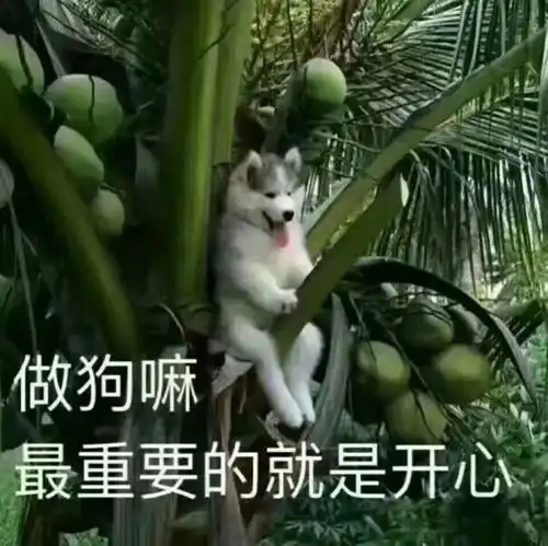 有哪些朋友圈发出来能引人注目的配图或表情包
