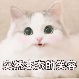 球球大作战璐璐额呐的美拍