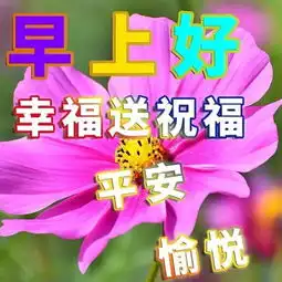 漂亮的早上好图片动态温馨句子微信早安动态表情