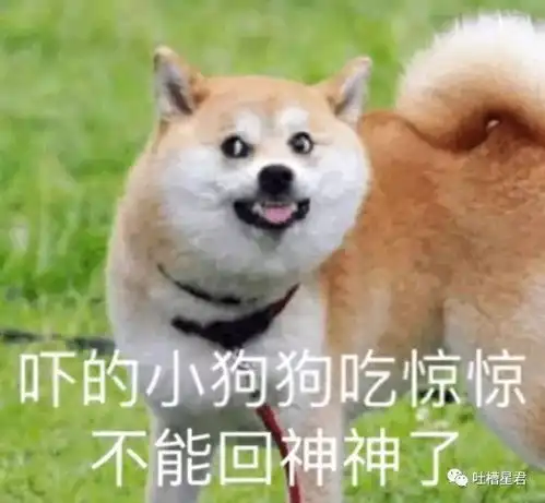 亲妈揭开奶茶行业内幕,哈哈哈哈哈这对话也太可怕了吧