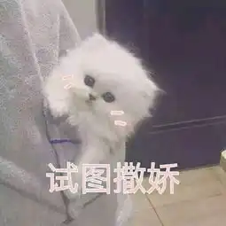 女孩萌萌哒表情包