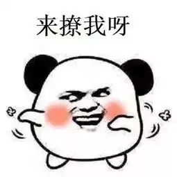 666中国菜农发明的阴阳棚,一棚能赚两棚钱