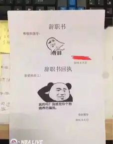 轻松一下昨天给领导写了辞职信,领导回我了