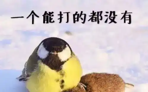 千万别学杨超越这样戴美瞳,说不定会瞎