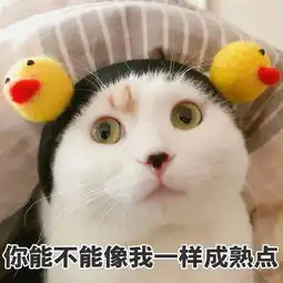 开心一刻笑话吃完晚饭,一家人坐在电视机前看肥皂剧