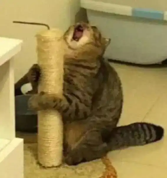 同学你画成这样,我真不敢教你了......