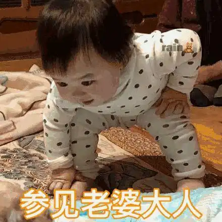 罗熙参见老婆大人表情包大全