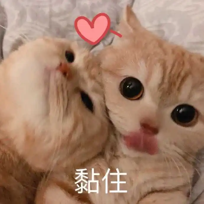 那些可爱到爆的文案句子