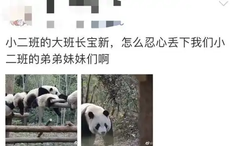 痛心官方证实已去世
