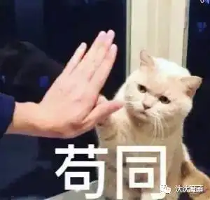 我宁可戴gshock也不戴假劳力士