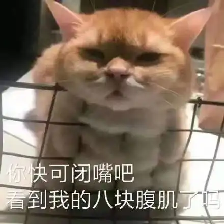 沙雕表情包,熊猫头搞笑表情包,熊猫头搞笑动态图