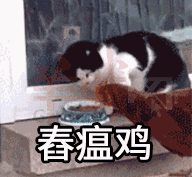 听说用这些粤语表情包聊天的人,最后都绝交了