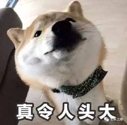 艺系之缔2020面对艺考改革,我们有办法,为你的艺考之路保驾护航