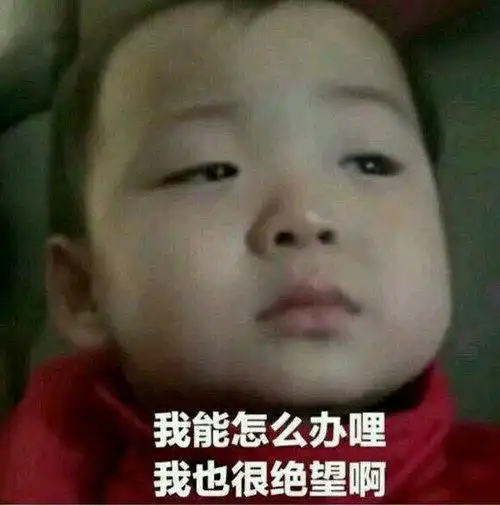 魔兽世界安其拉将至争锋再起,都准备好了