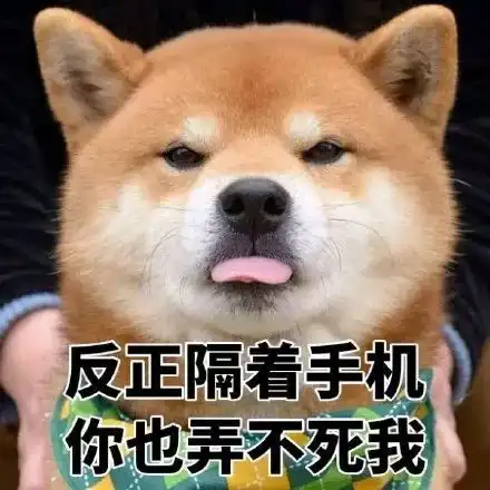 世界上表情最丰富的柴犬这次二哈输了