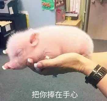 幽默段子笑话女神约我早晨去郊游,中午去吃饭,然后下午看电影