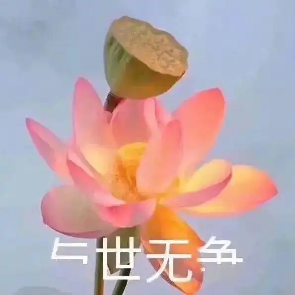 纯正hiphop押韵英雄mfdoom的迟到的逝世消息