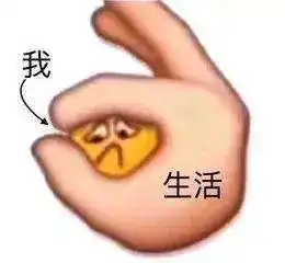 因为这8大优势,这个学校居然火了