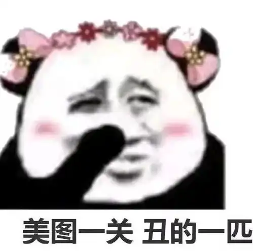 熊猫头表情包i其实我压力也没有很大