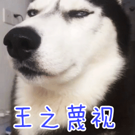 来不及解释了呀拉索表情今日头条
