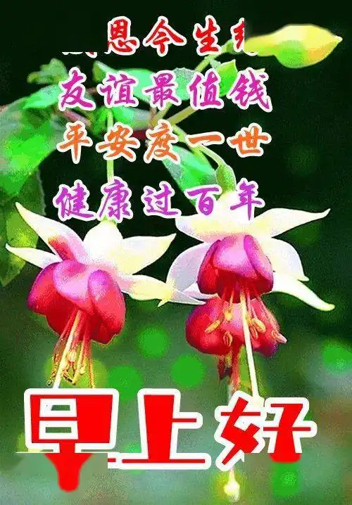 中老年表情包,朋友们早上好,感恩今生遇见你,幸福快乐无忧虑情意