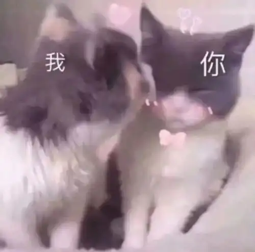 有没有给女朋友亲亲的表情包
