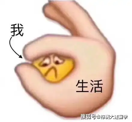 艰难的选择留学考研就业