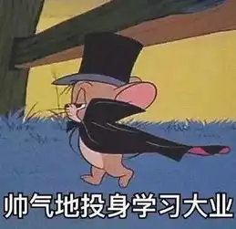 抖音实战红瓜子早课堂第802期