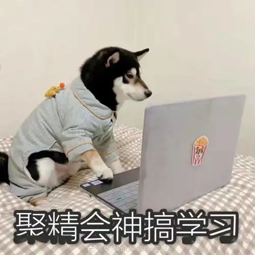 沙雕表情包i有事吗,老阿姨