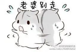 求老婆版仓鼠表情包