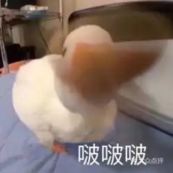 电话,地址,价格,营业时间南充美食