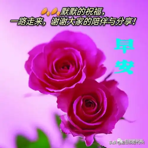 10月21日周四早上好图片祝福表情,秋天早安祝福语精选大全简短