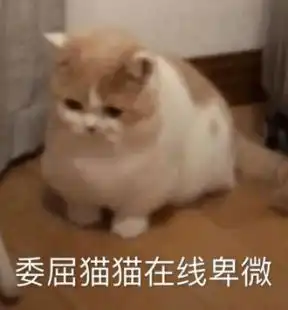 真相是真全方位嗑糖指南了解一下