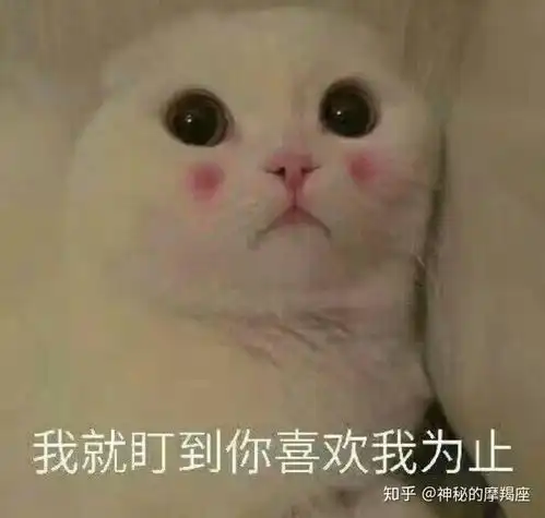 第一次去酒吧,如何装作经常去的样子