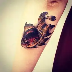 纹身素材金鱼