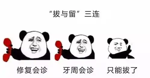 口腔三连表情包