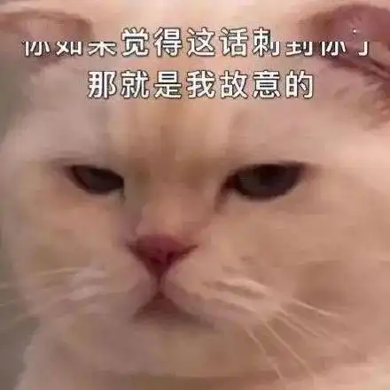 欧洲杯美洲杯冠军时不时来群里看看