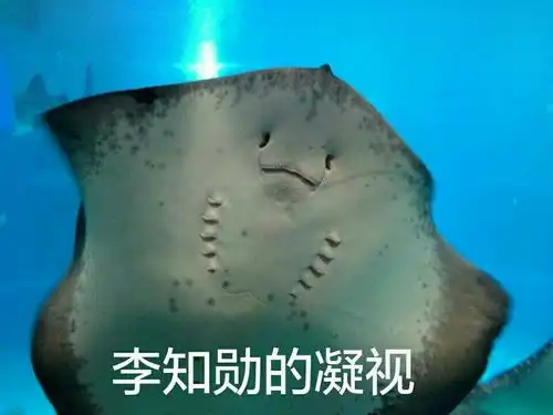 这个假笑猫猫真的和次镜一毛一样进来收个表情包...
