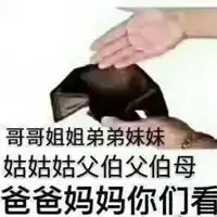钱包表情包