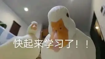 干货英国essay必备资料网站大盘点
