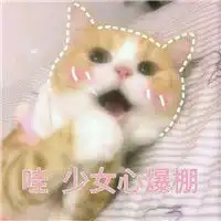卖萌猫咪表情包带字带激萌今天依然是任性的小公举腾牛个性网