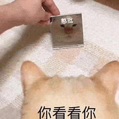 日常斗图表情包i你猜我想说什么