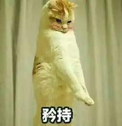 你见到过哪些笑到不行表情包